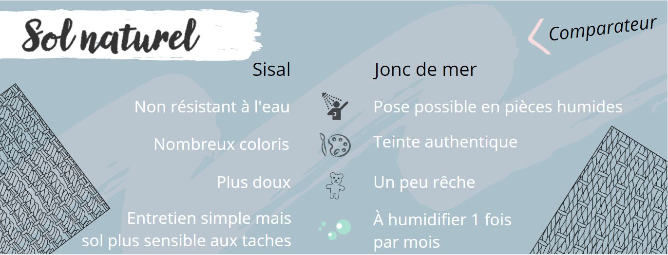 Infographie - Sol sisal