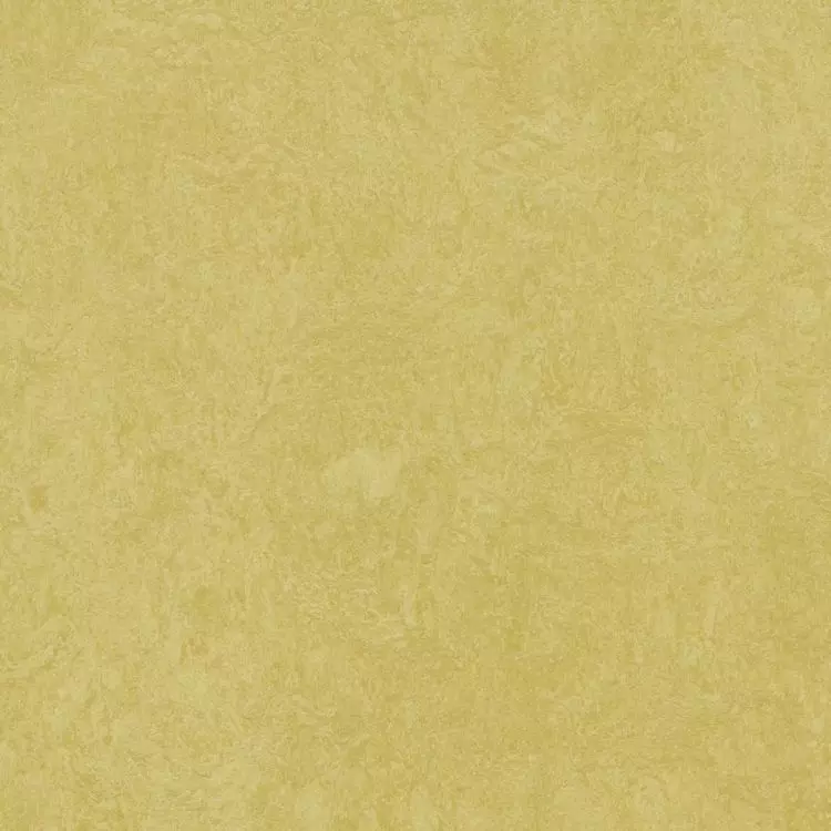 Forbo Marmoleum Fresco "3259 Mustard" (2,5 mm)