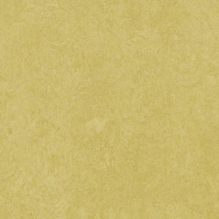 Forbo Marmoleum Fresco "3259 Mustard" (2,5 mm)