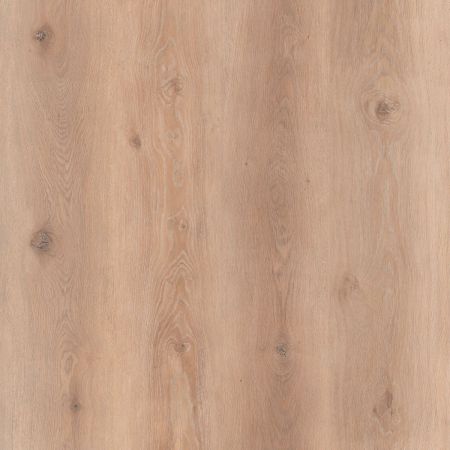 Contesse Rigicore 5.5 Click Wood Wide Cool Oak Gold