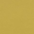 Forbo Marmoleum Modal "t3362 Yellow Moss" (50 x 50 cm)
