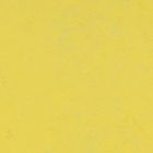 Forbo Marmoleum Concrete "3741 Yellow Glow" (2,5 mm)