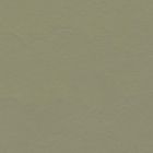 Forbo Marmoleum Click "333355 Rosemary green" (30 x 30 cm) - Linoleum naturel