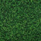 Sommer Expodecor "Grass" | 2 x 30 m