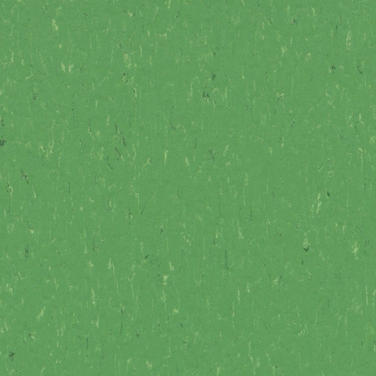 Forbo Marmoleum Piano "3647 Nettle Green" (2,5 mm)