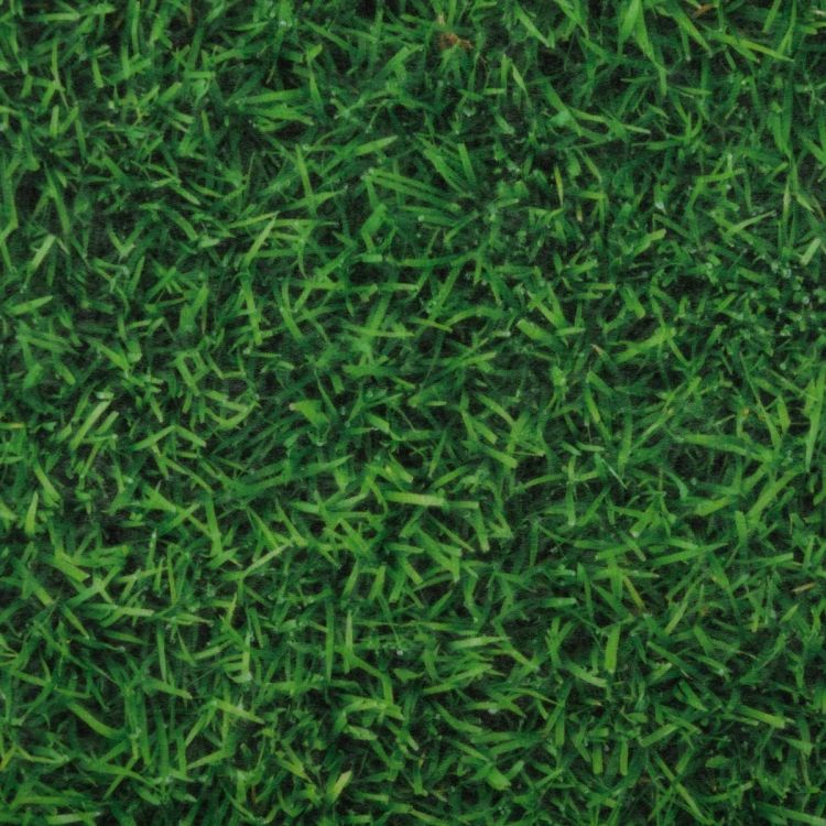Sommer Expodecor Grass | 2 x 30 m