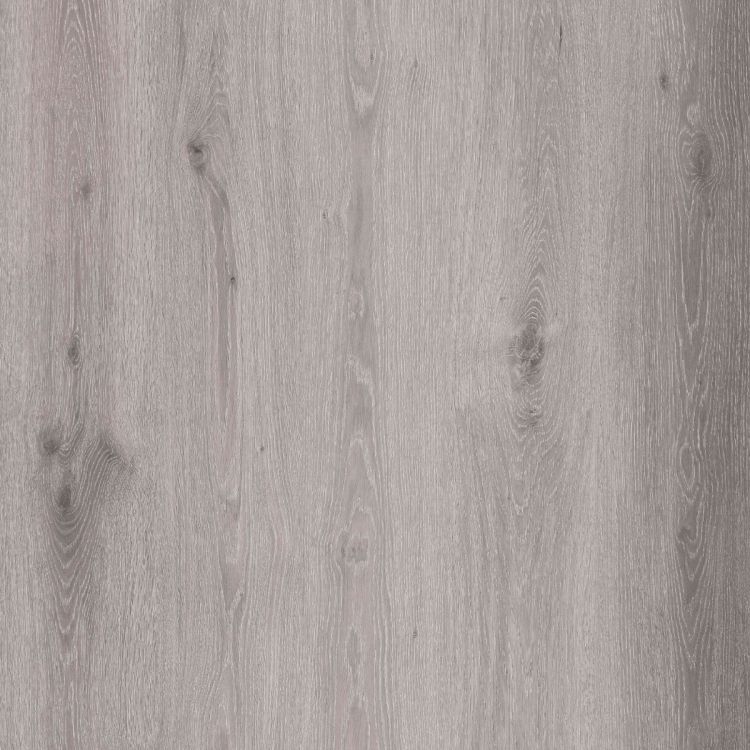 Contesse Rigicore 5.5 Click Wood Wide Cool Oak Silver