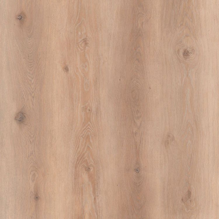 Contesse Rigicore 5.5 Click Wood Wide Cool Oak Gold