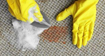 Tutoriel complet : Nettoyer les fibres de sisal